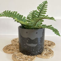 USTUDIO Bernard Bearded Face Plant Pot Large